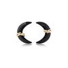 Moonbeam + Stardust Studs - Black Agate