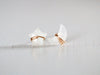 Moonbeam & Stardust Studs - Moonstone